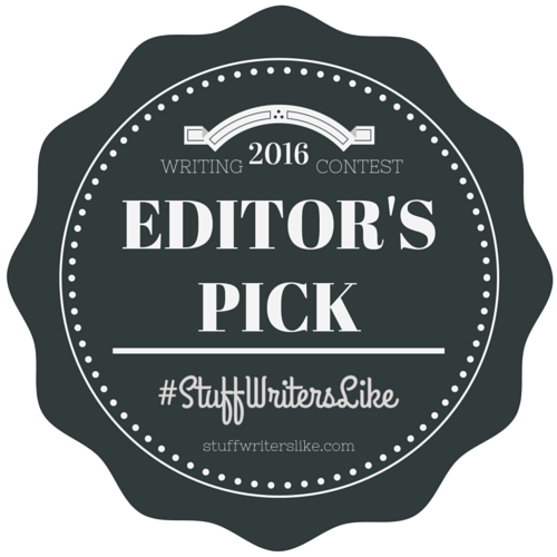 2016 Stuff Writers Like Writing Contest Editor's Pick Paul D. Bryant